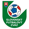 斯洛文尼亚女子联赛
