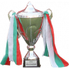 保加利亚杯冠军
