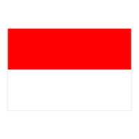 印度尼西亚U20