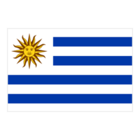 乌拉圭U15