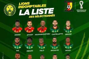 喀麦隆世界杯26人大名单：奥纳纳、舒波-莫廷领衔 中超外援巴索戈入选