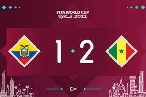 世界杯全场：打平即出线难以去逾越  厄瓜多尔1-2不敌塞内加尔惨遭淘汰