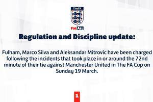 官方：英足总将对富勒姆、主帅席尔瓦和米特洛维奇行为提出指控