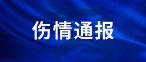 武汉三镇官方：阿沃莱达股二头肌内侧肌腱损伤 预计需6周恢复