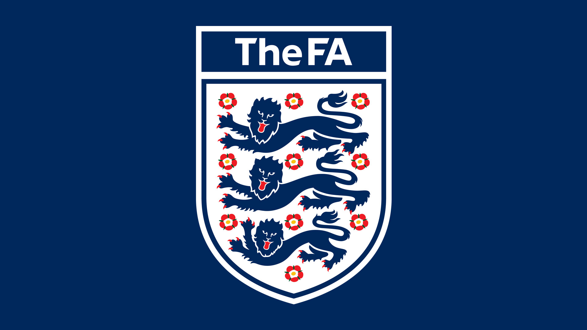 🚨名记：英足总将分阶段禁止青少年足球比赛主动使用头球