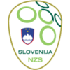 斯洛文尼亚VI